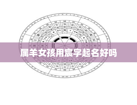 属羊女孩用宸字起名好吗