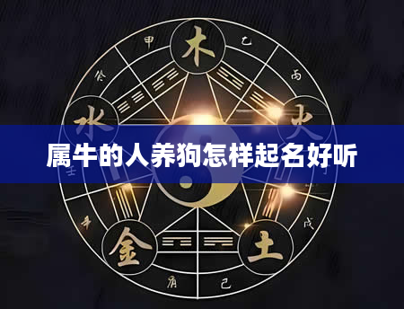 属牛的人养狗怎样起名好听