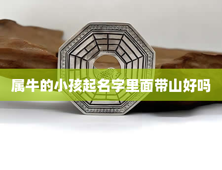 属牛的小孩起名字里面带山好吗