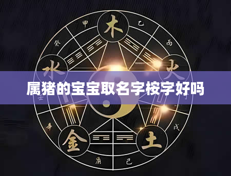 属猪的宝宝取名字桉字好吗