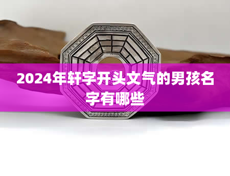 2024年轩字开头文气的男孩名字有哪些
