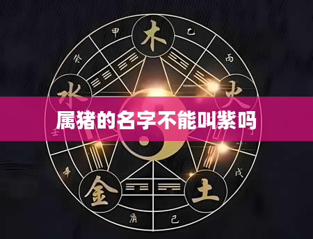 属猪的名字不能叫紫吗