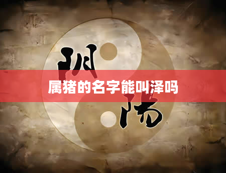 属猪的名字能叫泽吗