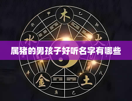 属猪的男孩子好听名字有哪些