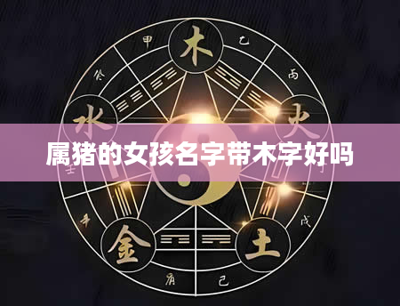 属猪的女孩名字带木字好吗