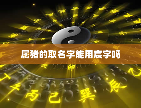 属猪的取名字能用宸字吗
