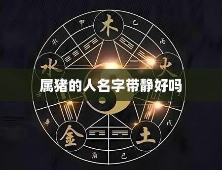 属猪的人名字带静好吗