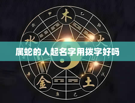 属蛇的人起名字用拨字好吗