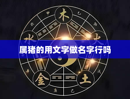 属猪的用文字做名字行吗