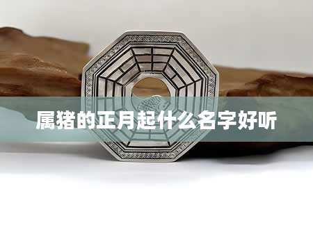 属猪的正月起什么名字好听