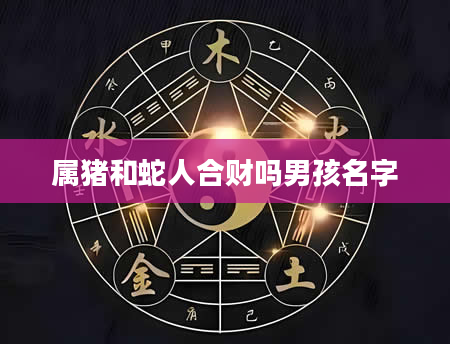 属猪和蛇人合财吗男孩名字