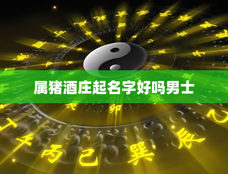 属猪酒庄起名字好吗男士