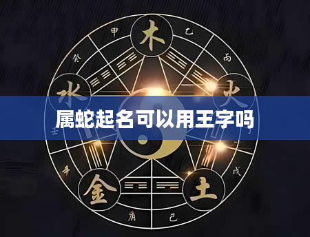属蛇起名可以用王字吗