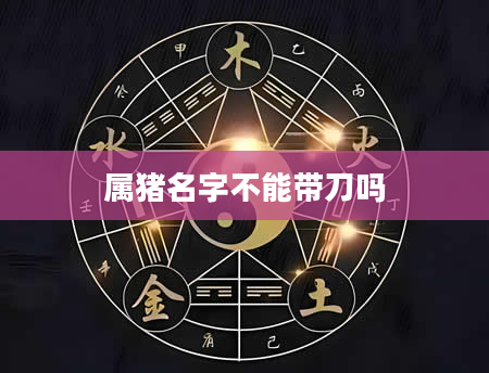 属猪名字不能带刀吗