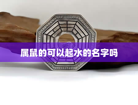 属鼠的可以起水的名字吗