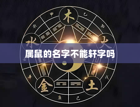 属鼠的名字不能轩字吗
