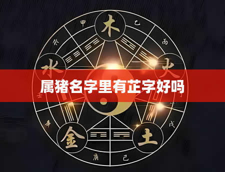 属猪名字里有芷字好吗