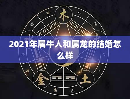 2021年属牛人和属龙的结婚怎么样