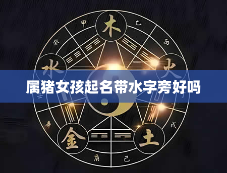 属猪女孩起名带水字旁好吗