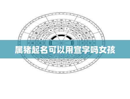 属猪起名可以用宣字吗女孩