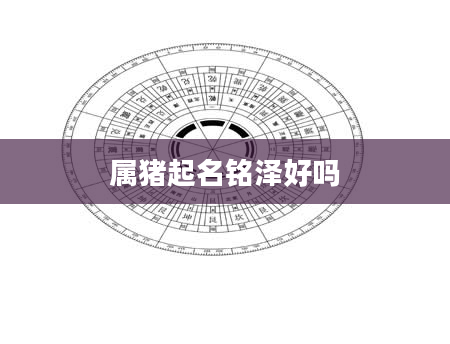 属猪起名铭泽好吗