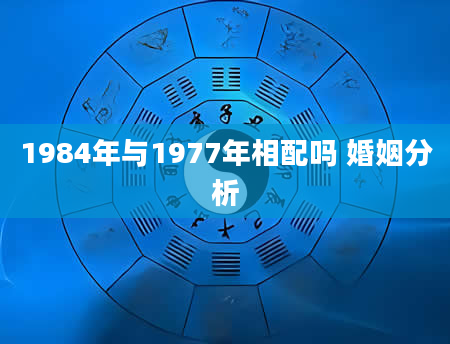 1984年与1977年相配吗 婚姻分析