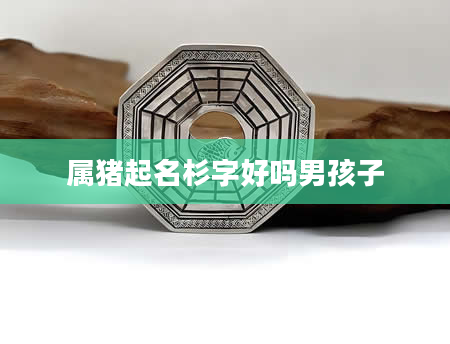 属猪起名杉字好吗男孩子