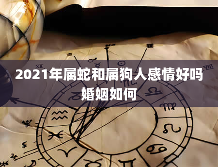 2021年属蛇和属狗人感情好吗婚姻如何