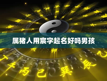 属猪人用宸字起名好吗男孩
