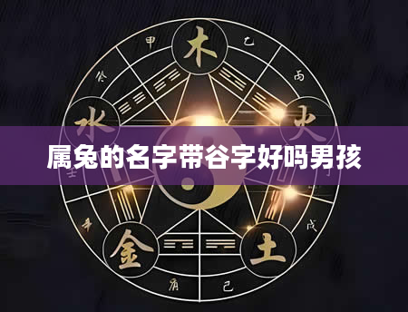 属兔的名字带谷字好吗男孩