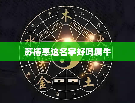 苏椿惠这名字好吗属牛