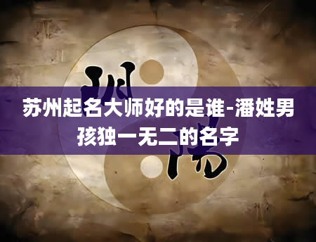苏州起名大师好的是谁-潘姓男孩独一无二的名字