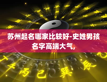 苏州起名哪家比较好-史姓男孩名字高端大气,