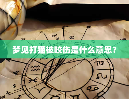 梦见打猫被咬伤是什么意思？