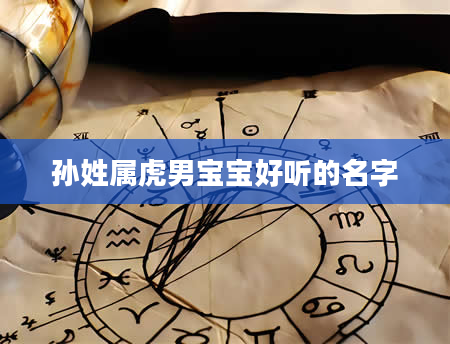 孙姓属虎男宝宝好听的名字