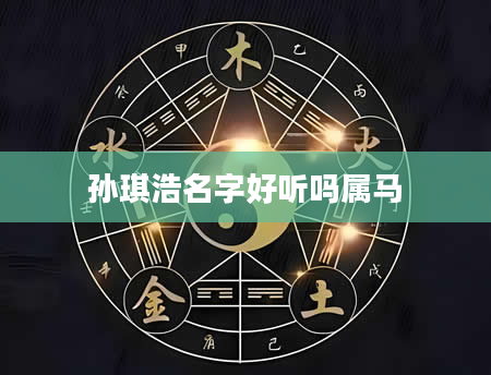 孙琪浩名字好听吗属马