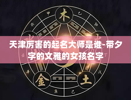 天津厉害的起名大师是谁-带夕字的文雅的女孩名字