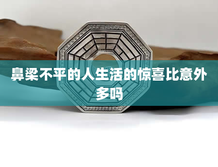 鼻梁不平的人生活的惊喜比意外多吗