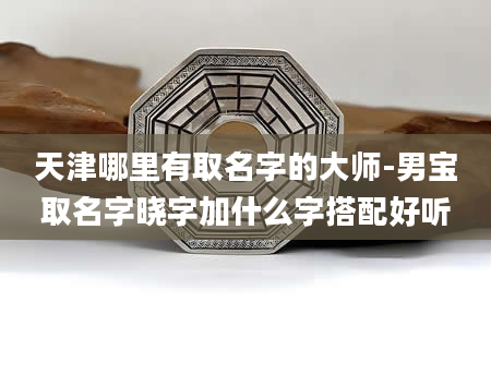 天津哪里有取名字的大师-男宝取名字晓字加什么字搭配好听