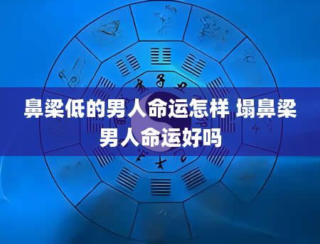 鼻梁低的男人命运怎样 塌鼻梁男人命运好吗