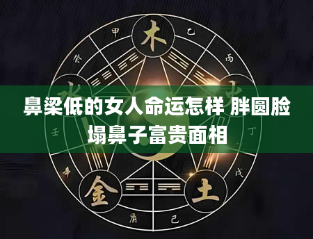 鼻梁低的女人命运怎样 胖圆脸塌鼻子富贵面相