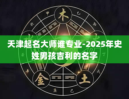 天津起名大师谁专业-2025年史姓男孩吉利的名字