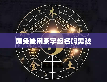 属兔能用鹏字起名吗男孩