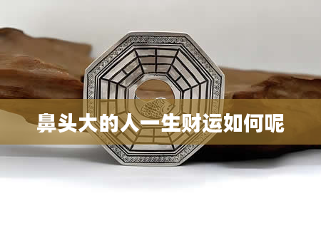 鼻头大的人一生财运如何呢