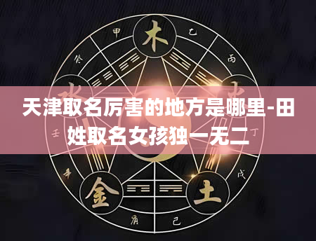 天津取名厉害的地方是哪里-田姓取名女孩独一无二
