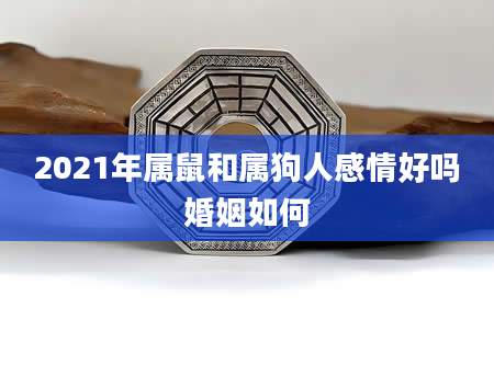 2021年属鼠和属狗人感情好吗婚姻如何