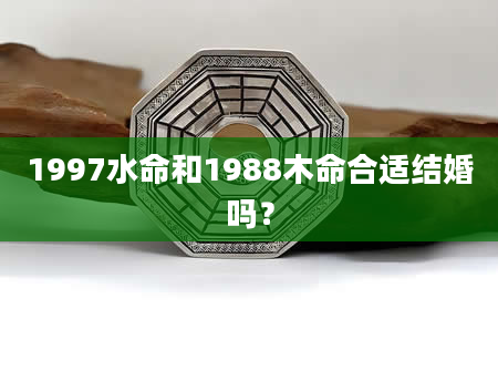 1997水命和1988木命合适结婚吗？