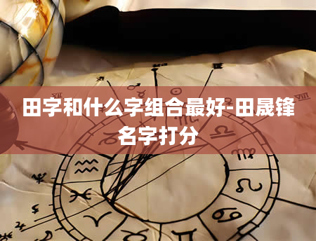 田字和什么字组合最好-田晟锋名字打分