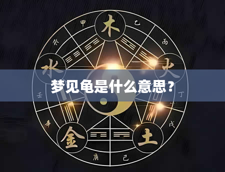 梦见龟是什么意思？