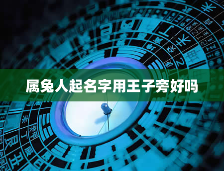 属兔人起名字用王子旁好吗